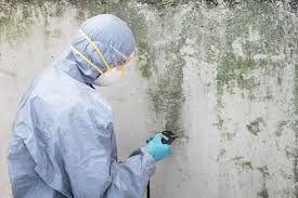 Asbestos and Lead Testing During Mold Inspection in Duarte, CA